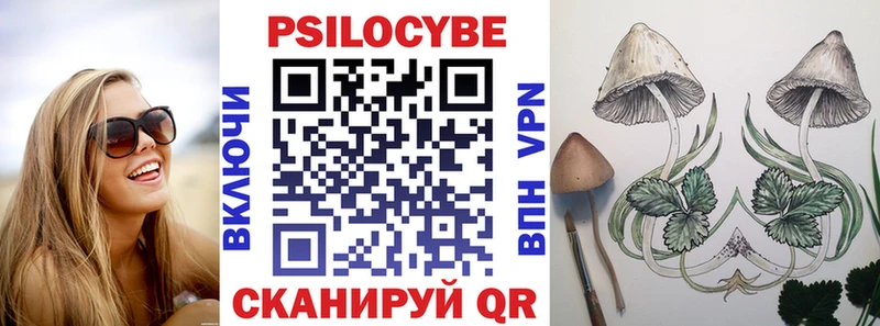 Купить где  Ростов  Псилоцибиновые грибы Cubensis 